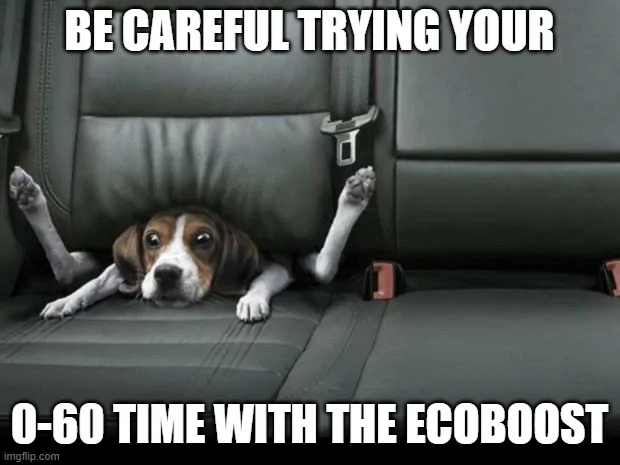 Ford Maverick Maverick Memes -  fun diversion while we wait [ ** NO POLITICS ** ] 5p5cq6
