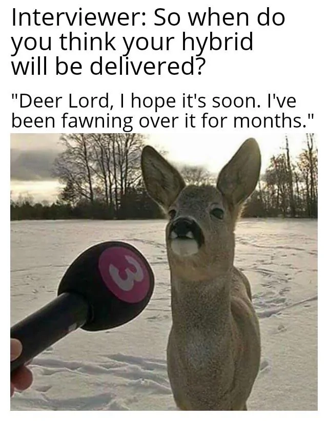 Ford Maverick Maverick Memes -  fun diversion while we wait [ ** NO POLITICS ** ] Deer Being Interviewed 03102021201909