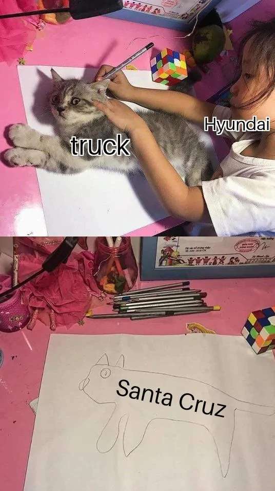 Ford Maverick Maverick Memes -  fun diversion while we wait [ ** NO POLITICS ** ] Girl Tracing Cat 03102021215636
