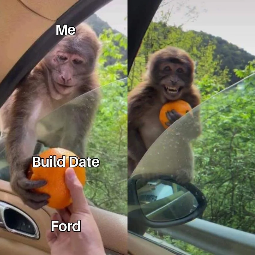 Ford Maverick Maverick Memes -  fun diversion while we wait [ ** NO POLITICS ** ] Monkey Receiving An Orange 05102021213114