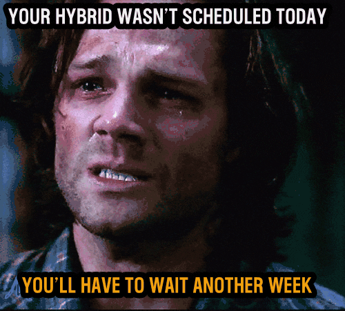 Ford Maverick Maverick Memes -  fun diversion while we wait [ ** NO POLITICS ** ] Maverick_I_Cant_Wait