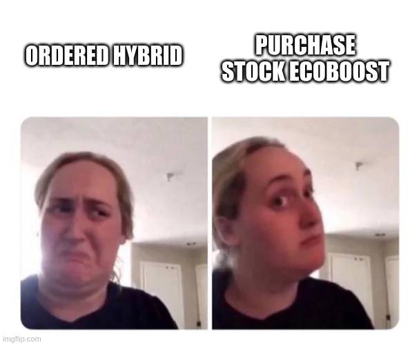 Ford Maverick Maverick Memes -  fun diversion while we wait [ ** NO POLITICS ** ] 5pnt12
