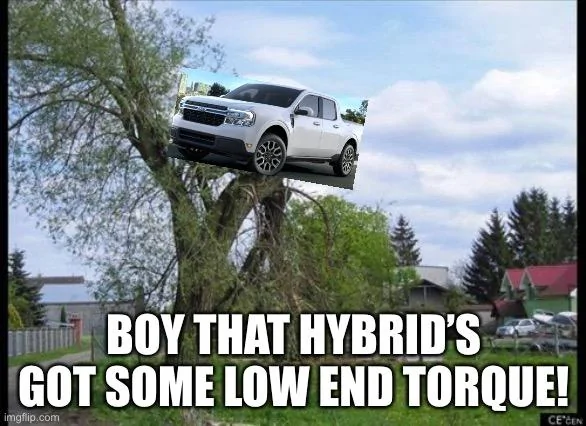 Ford Maverick Maverick Memes -  fun diversion while we wait [ ** NO POLITICS ** ] DBC28ABB-5752-4692-9DC9-DEB93D4F8C73