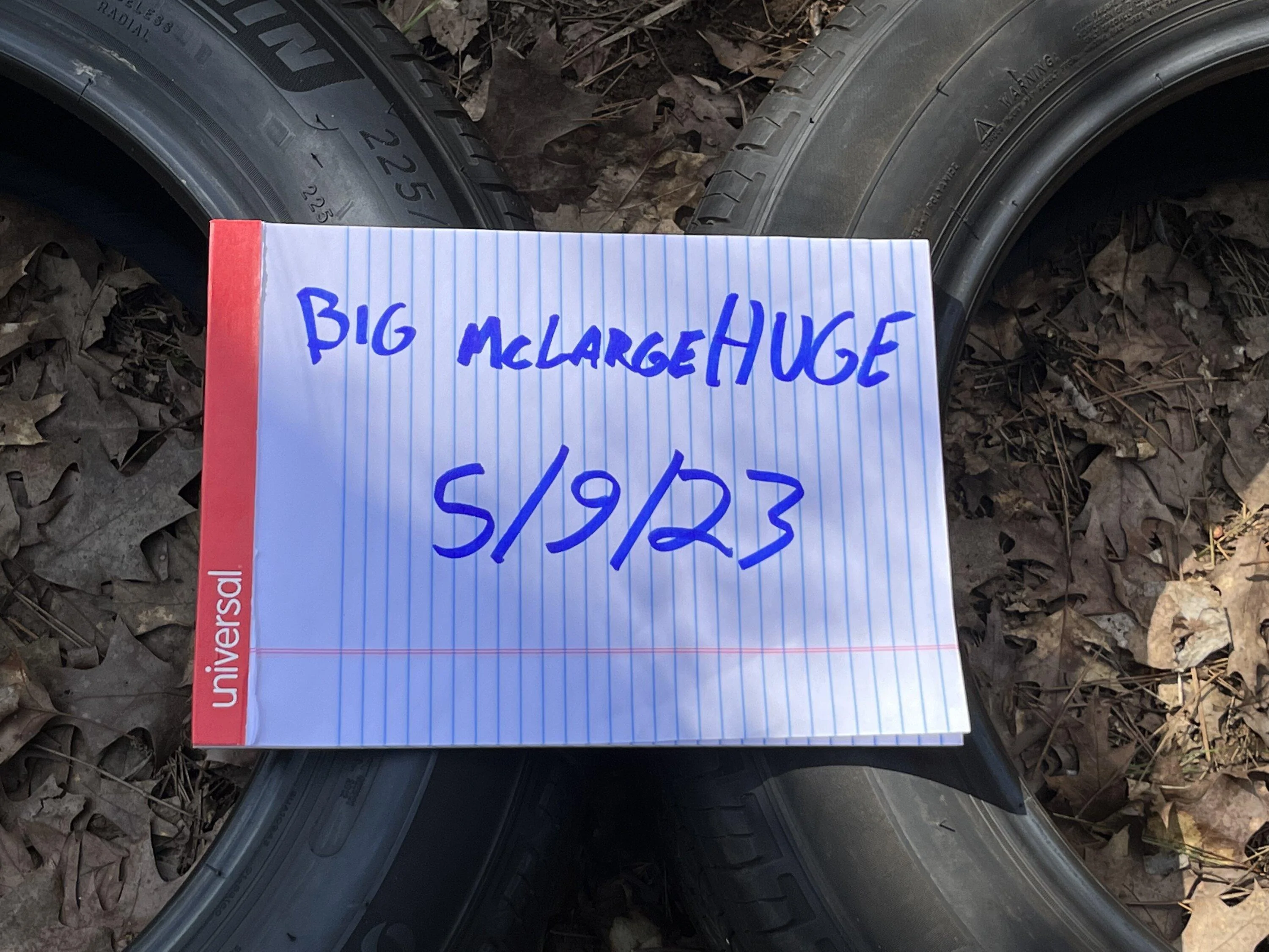 Ford Maverick 18” Michelin Primacy A/S Tires - $300 C5A4C5E9-95DC-49C7-BD4A-19AB9D100B81