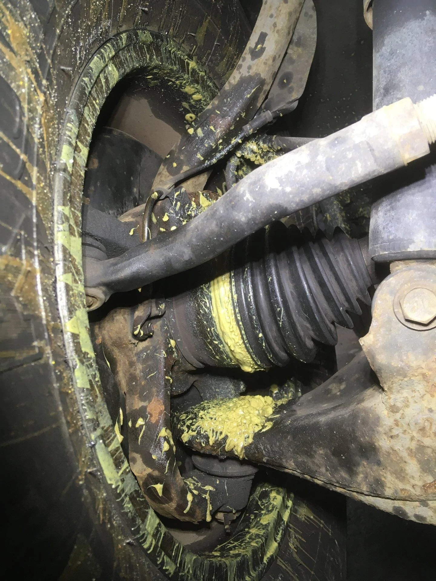 Ford Maverick What is this? Yellow Grease 4d8a1f74-b4ab-402c-b474-453db695e464-jpeg