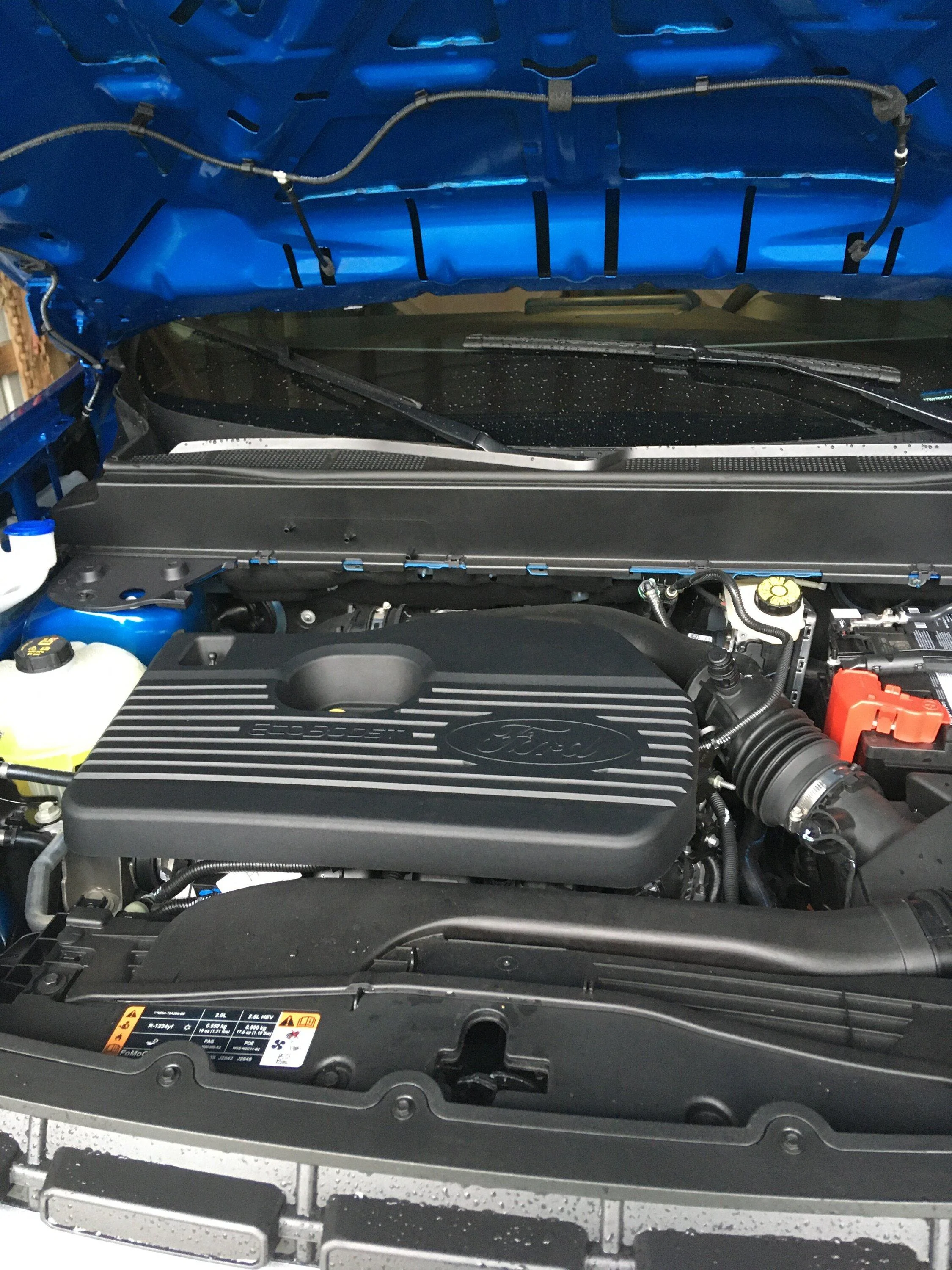 Ford Maverick Hood Struts and Tailgate Assist Installed IMG_1053