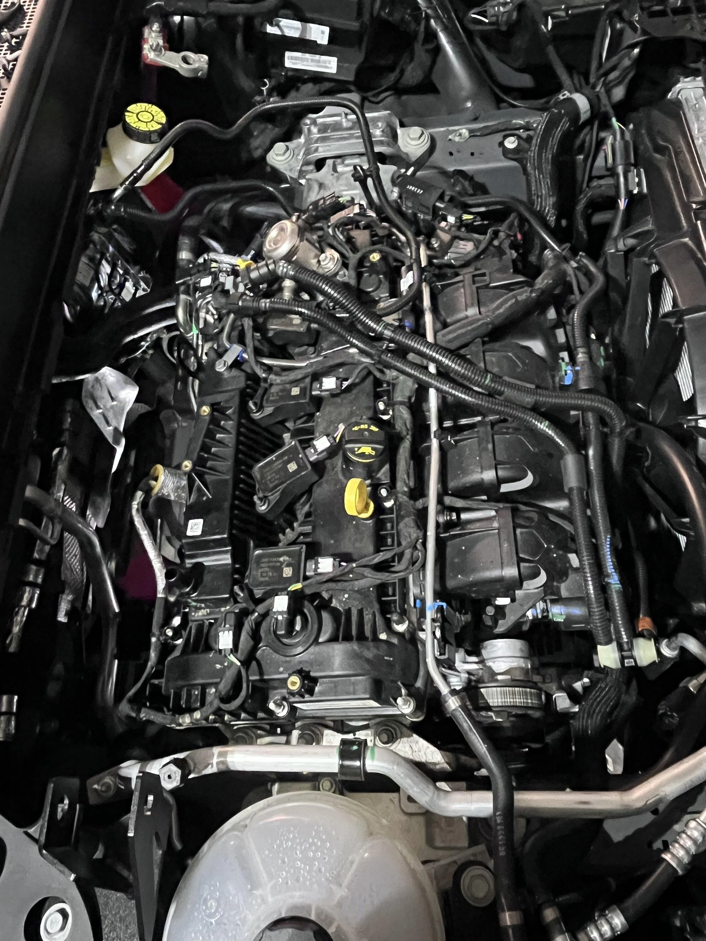 Ford Maverick Project Mav 2.3 is underway F114CC75-0050-49DD-A0A5-EAF03A7AC1B0