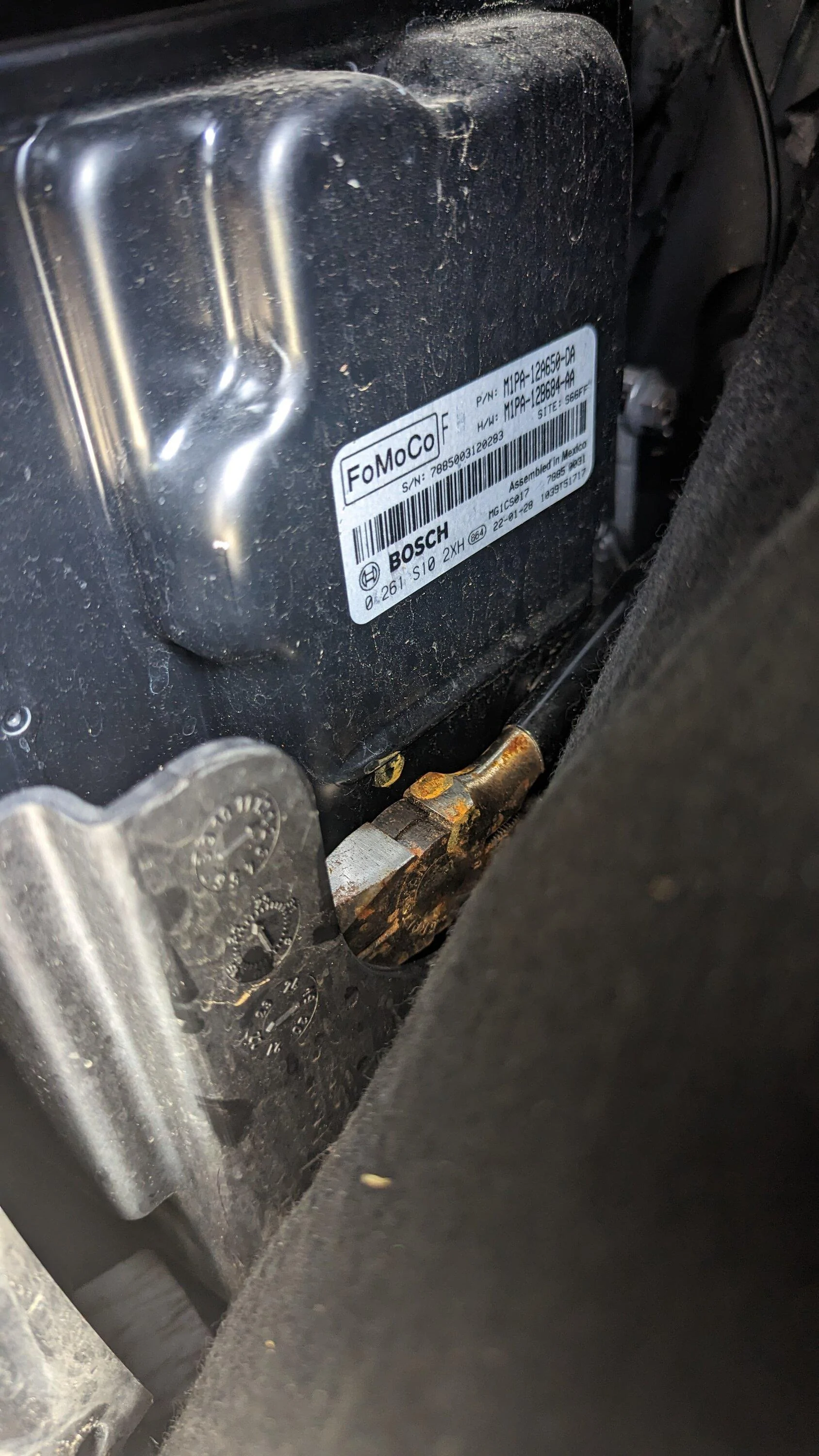Ford Maverick Found this surprise under my seat PXL_20230416_164735521