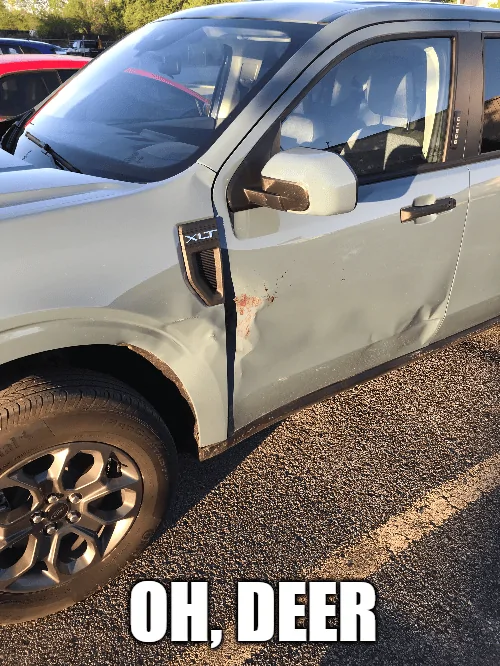 Ford Maverick i accidentally made this thread [NO POLITICS, NO OFFENSIVE POSTS, NO NSFW] download - 2023-05-16T163301.345