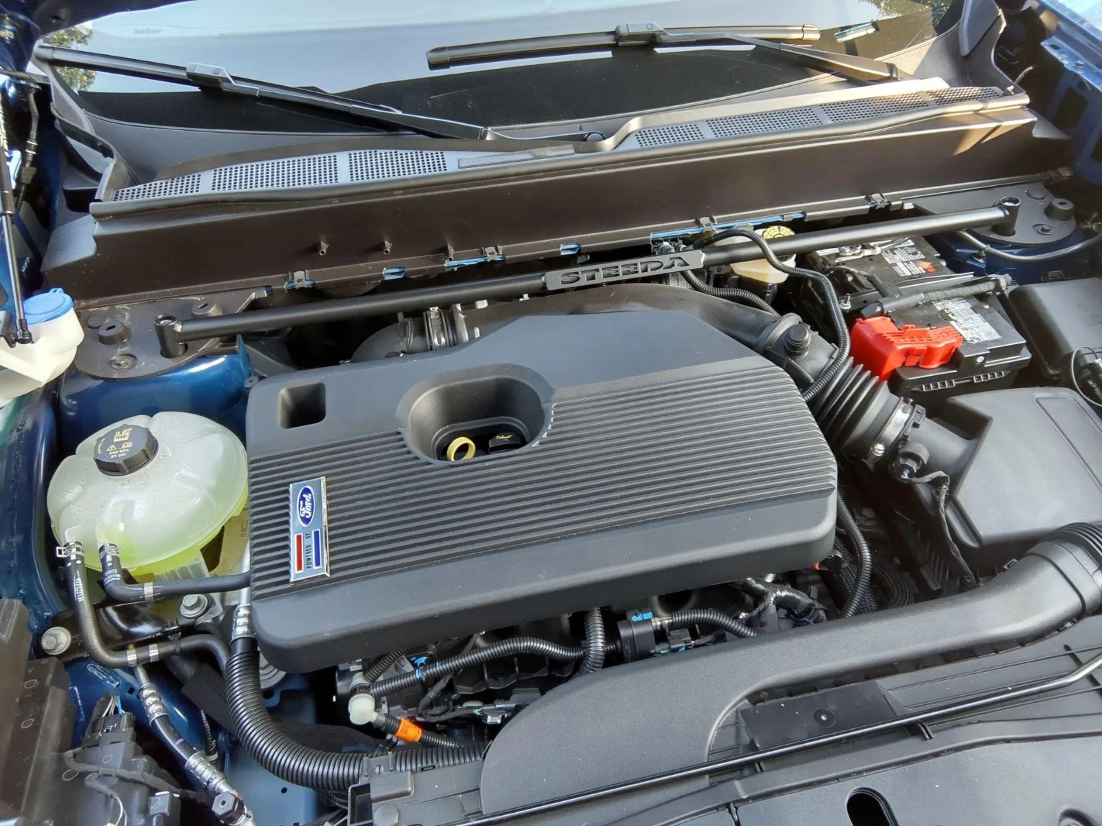 Ford Maverick Tremor is making itself comfortable at home 1453061671