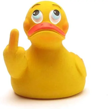Ford Maverick Jeeps got ducks, Maverick's have... 31tkCSZqN3L._AC_