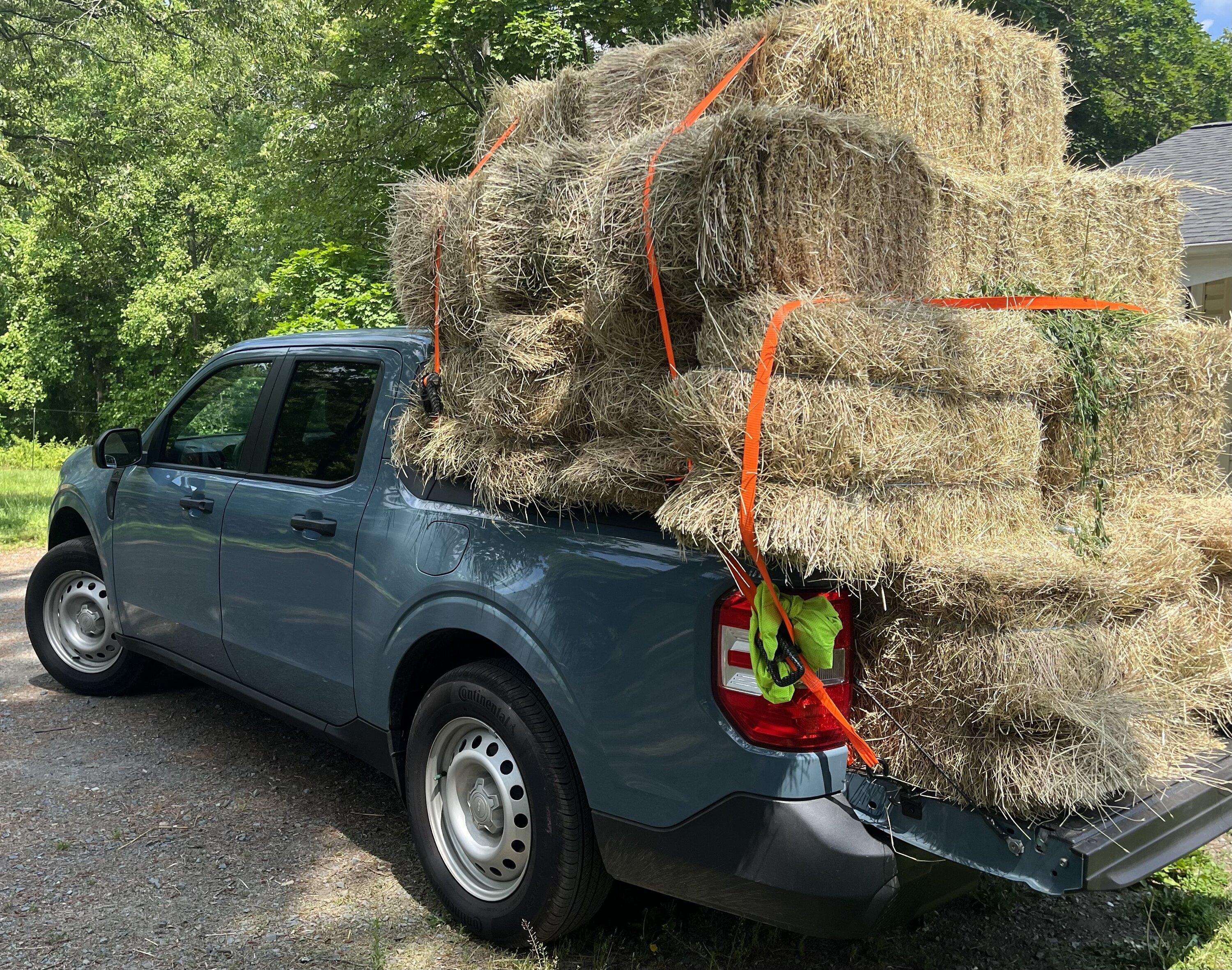 Ford Maverick Hay stacking IMG_3913