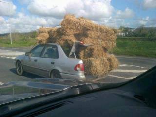 Ford Maverick Hay stacking 1017008_10151825209444640_2118983936_n