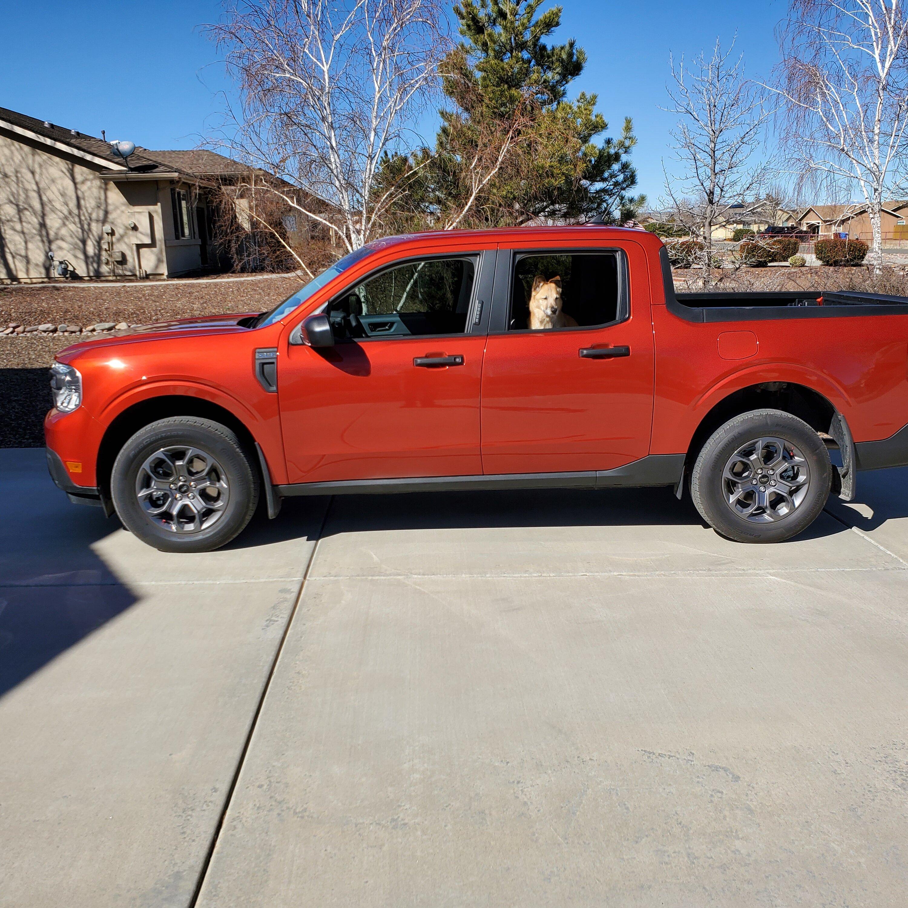 Ford Maverick Could not wait 20230309_145529