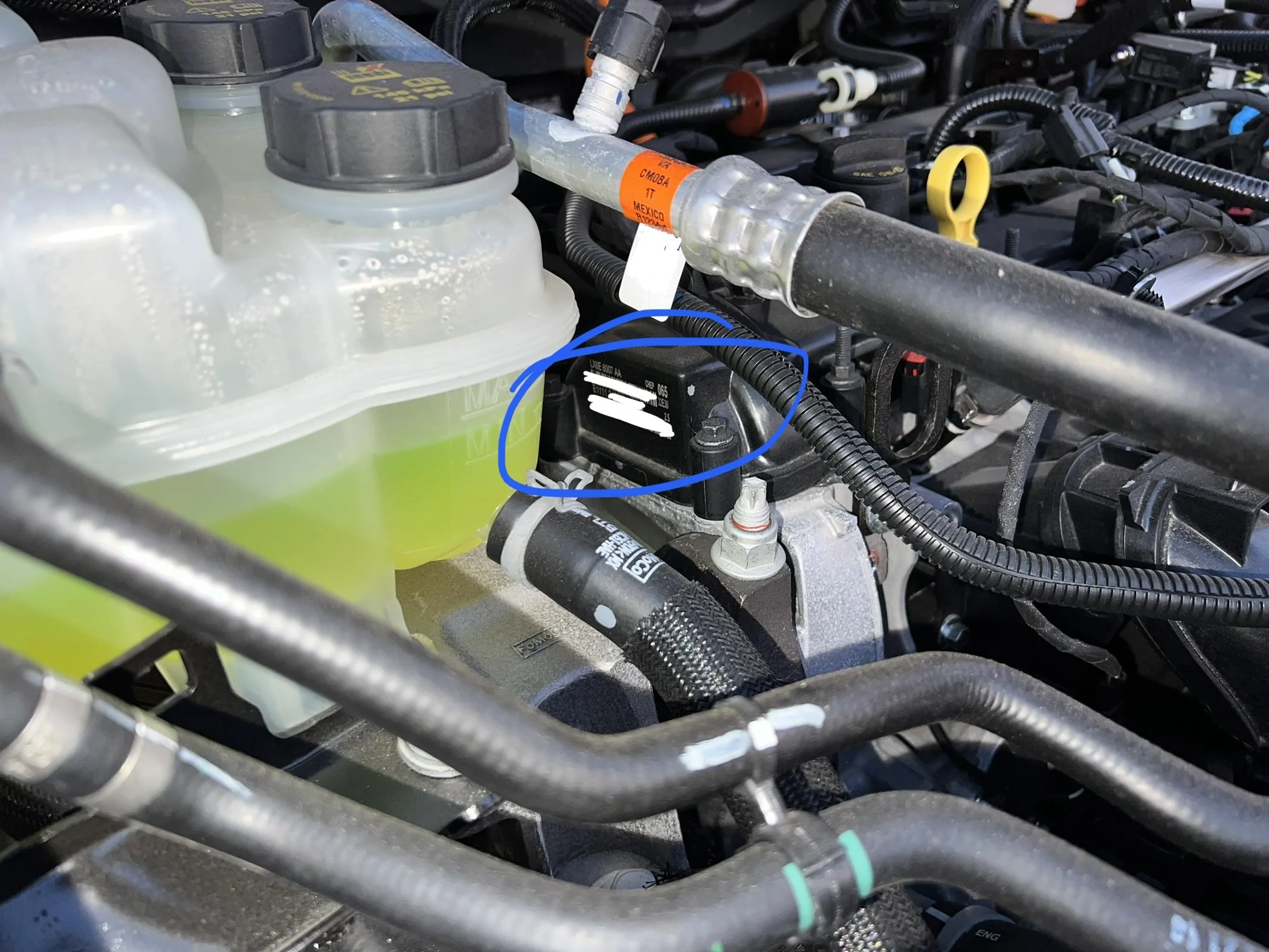Ford Maverick Hybrid engine manufacture location? IMG_5561