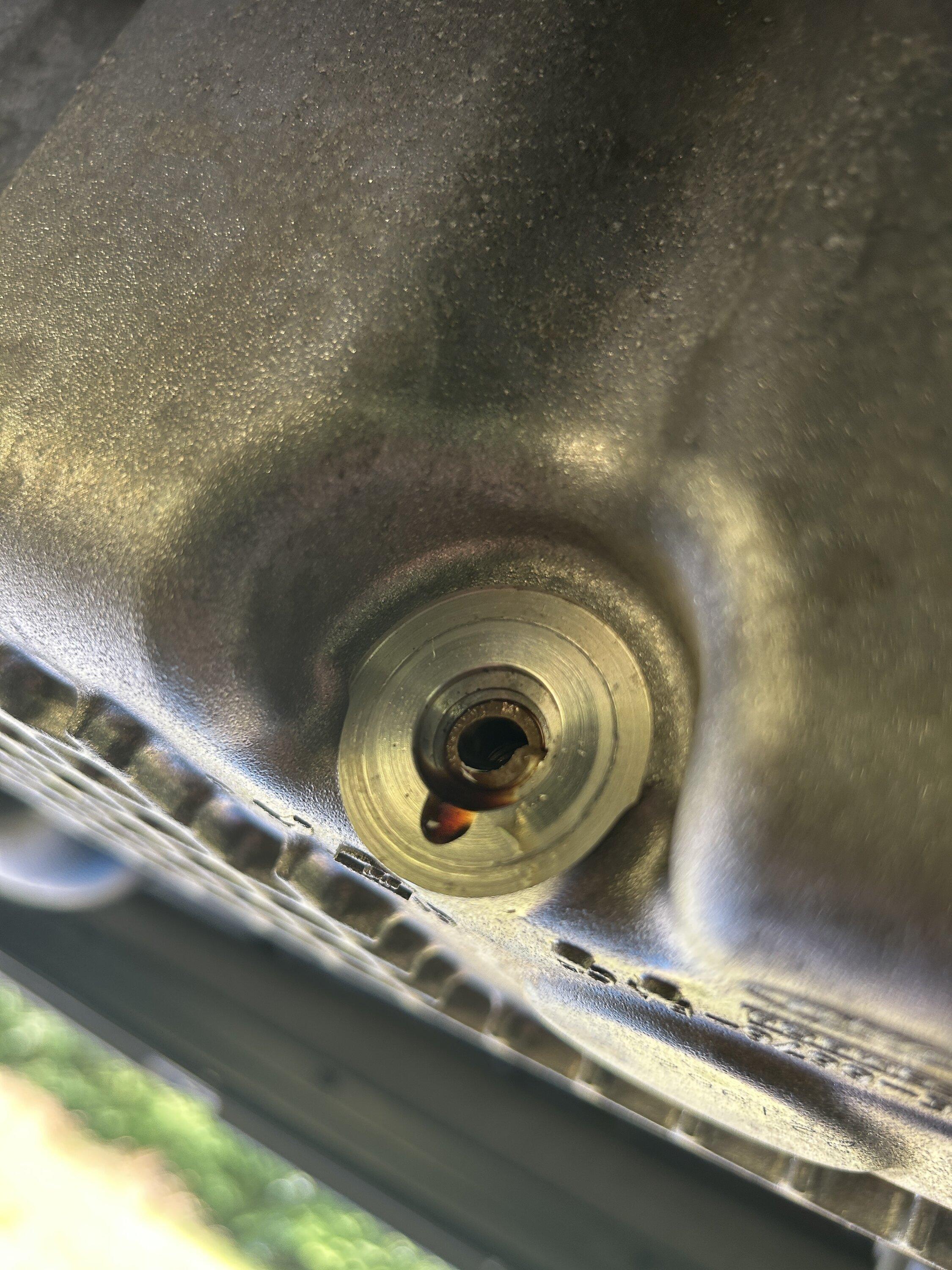 Ford Maverick Fumoto Valve Fail IMG_0135.JPG