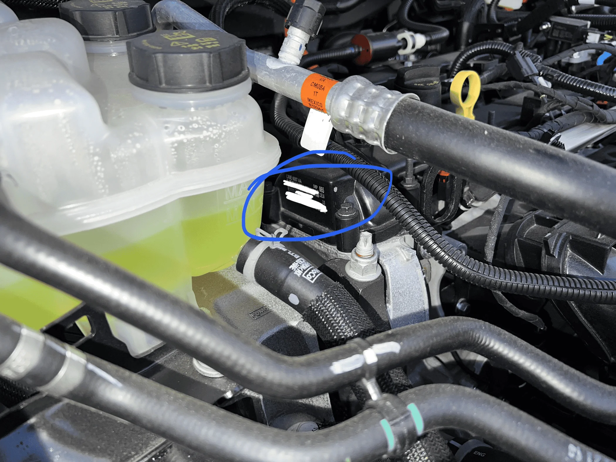 Ford Maverick Hybrid engine manufacture location? 1688042025317