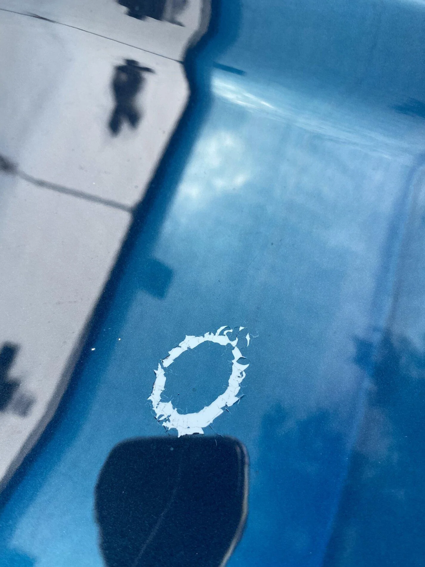 Ford Maverick Soft paint? Rock chips after 400 miles B668754E-6B68-467C-9CAD-F909FC28867C