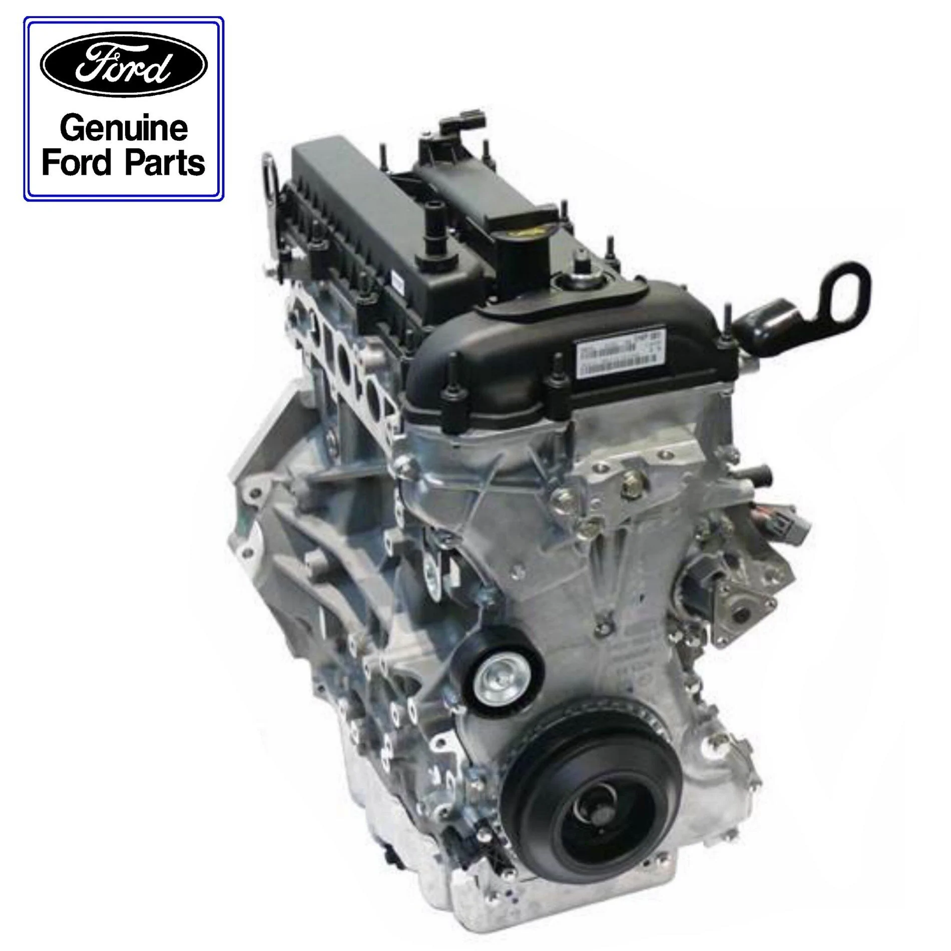 Ford Maverick Drive belt on the 2.5L engine 32ADE906-65AF-4E8C-99F9-7FF281BC427C