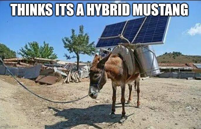 Ford Maverick Maverick Memes -  fun diversion while we wait [ ** NO POLITICS ** ] 5q5gby