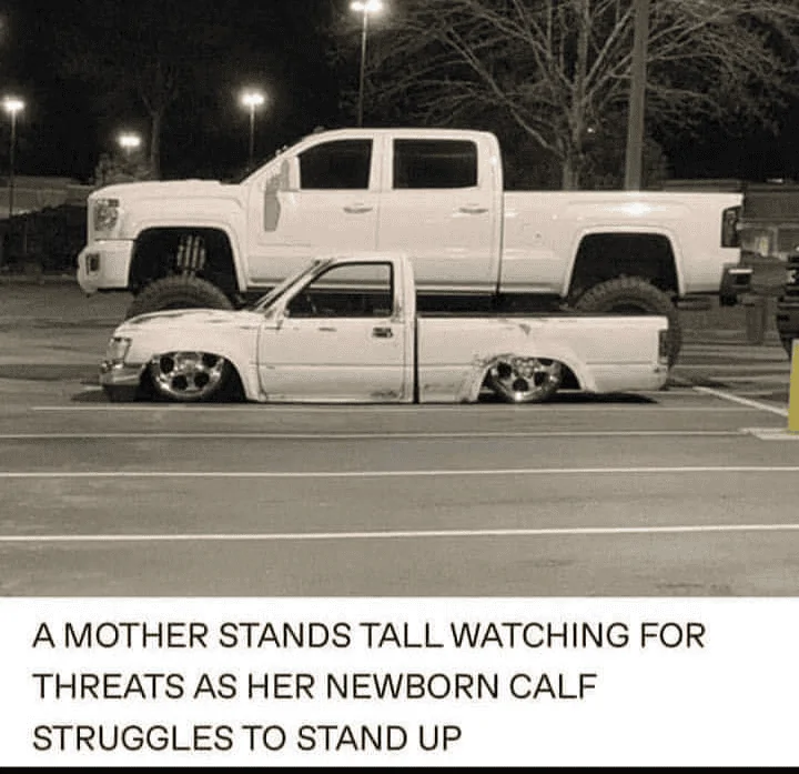 Ford Maverick Maverick Memes -  fun diversion while we wait [ ** NO POLITICS ** ] 1634253975717