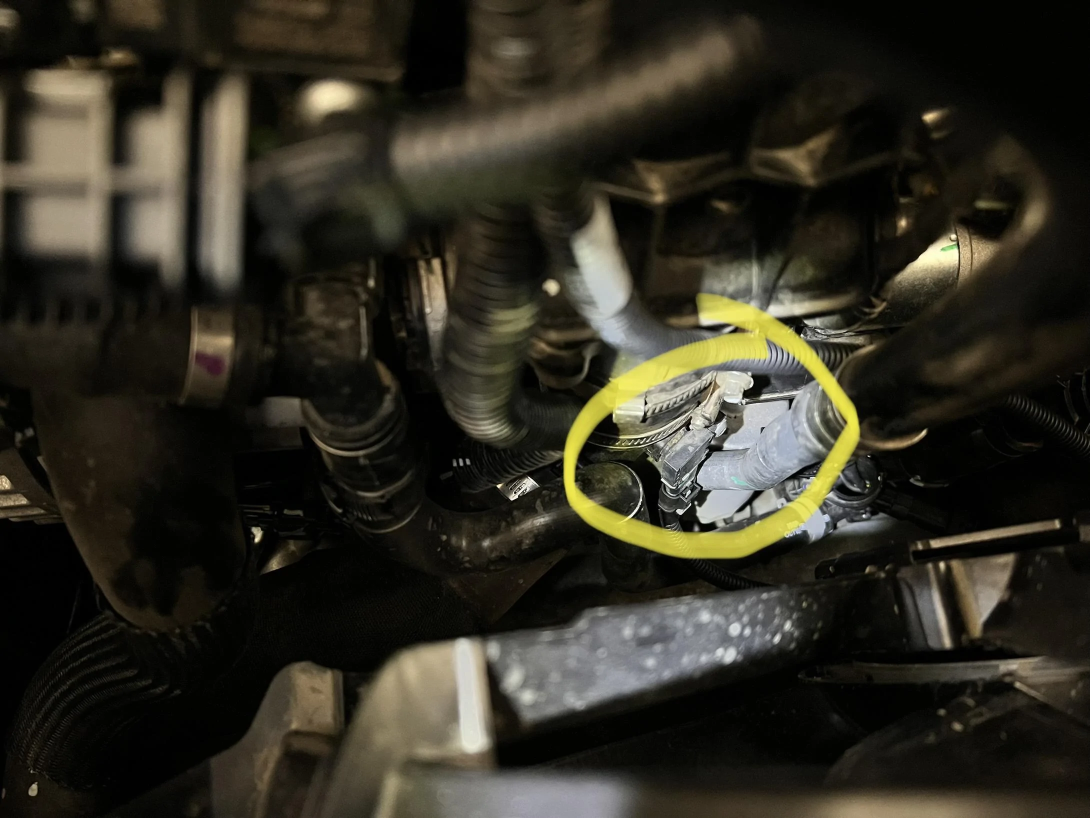 Ford Maverick Redd's Panda Power Module Install & Review (2.0L EcoBoost Tune) IMG_4042