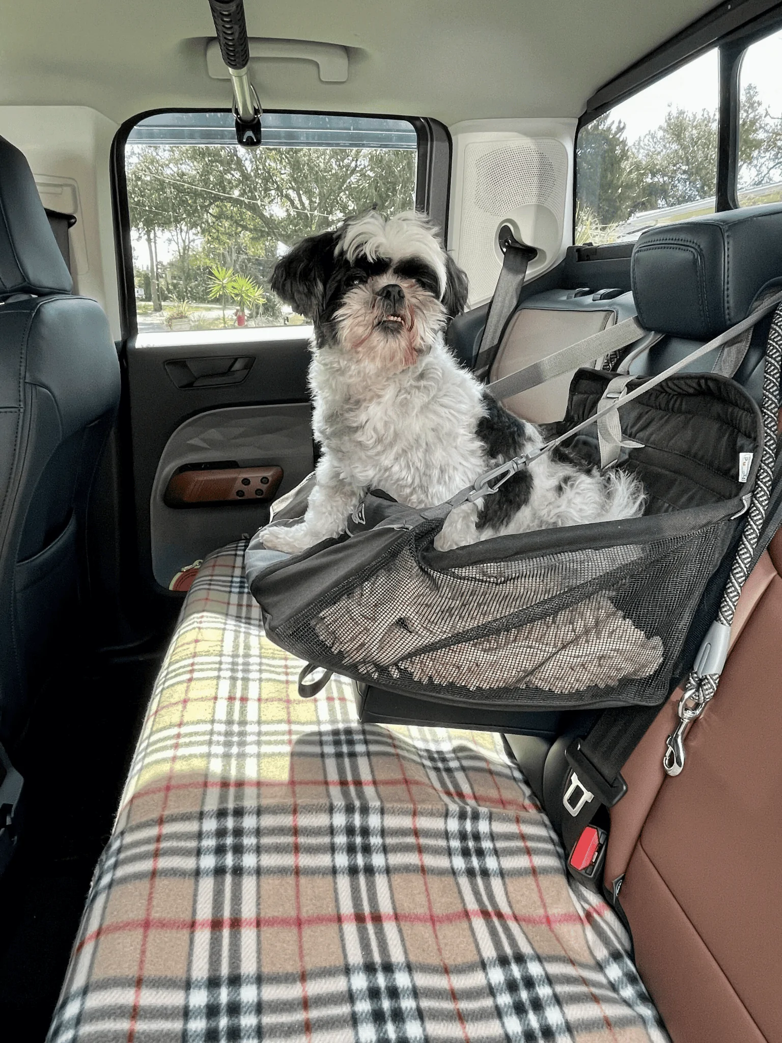 Ford Maverick Rear seat cover for small dog? 1688917982311