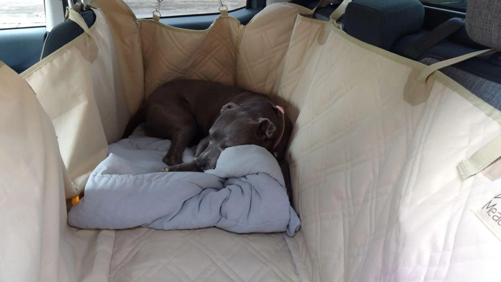 Ford Maverick Rear seat cover for small dog? IMG_20230715_083114