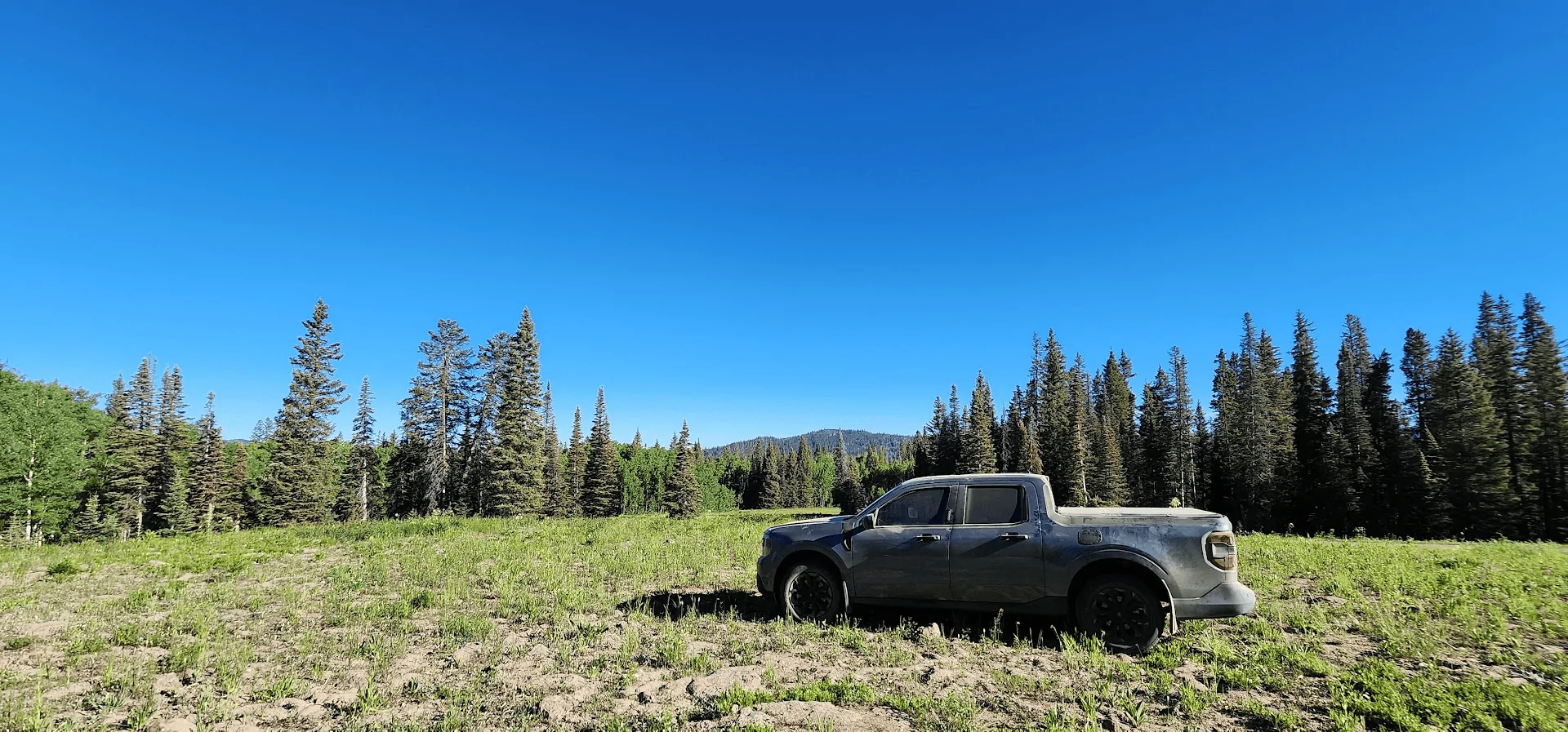 Ford Maverick Javskies Grey Wind Build 1689537512459