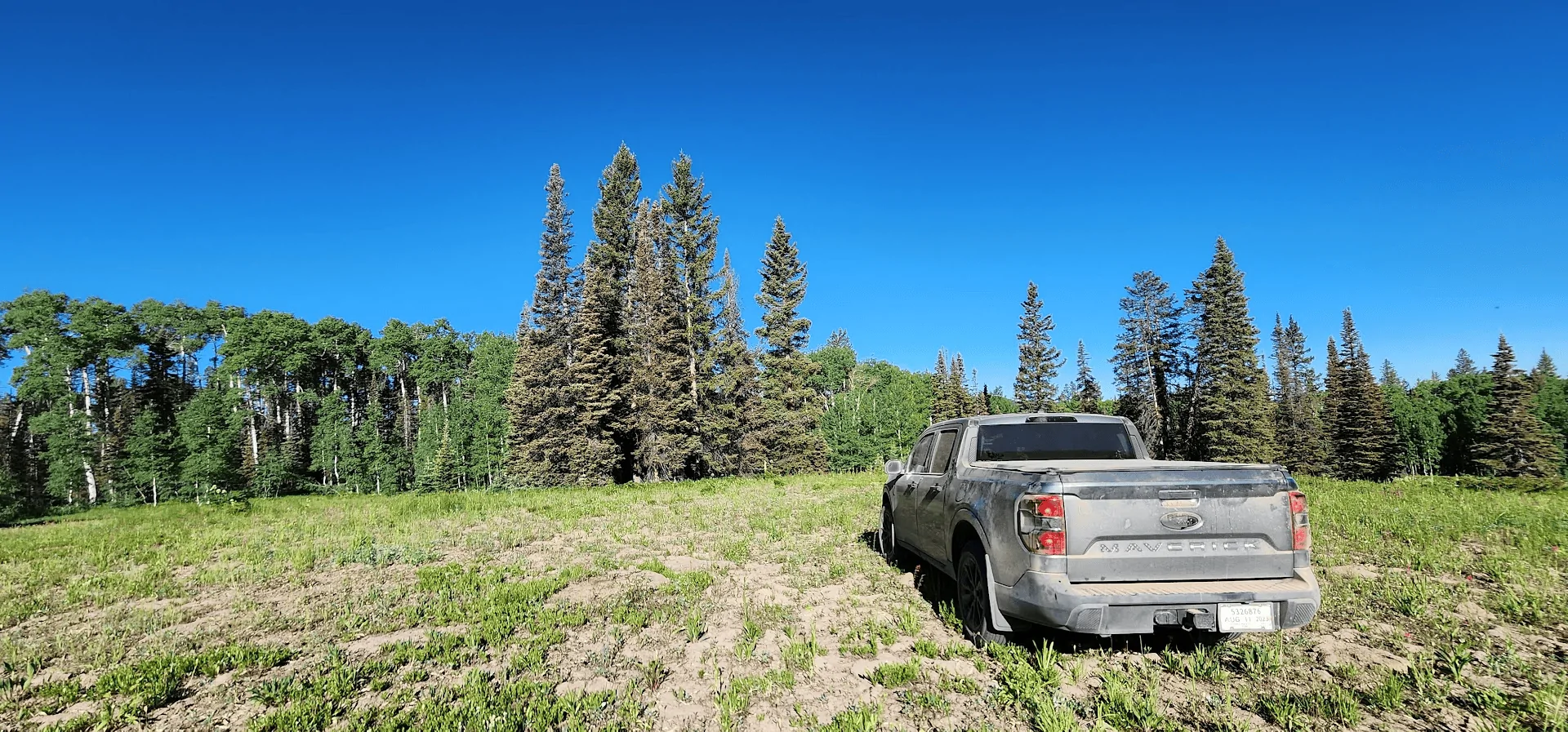 Ford Maverick Javskies Grey Wind Build 1689537528032