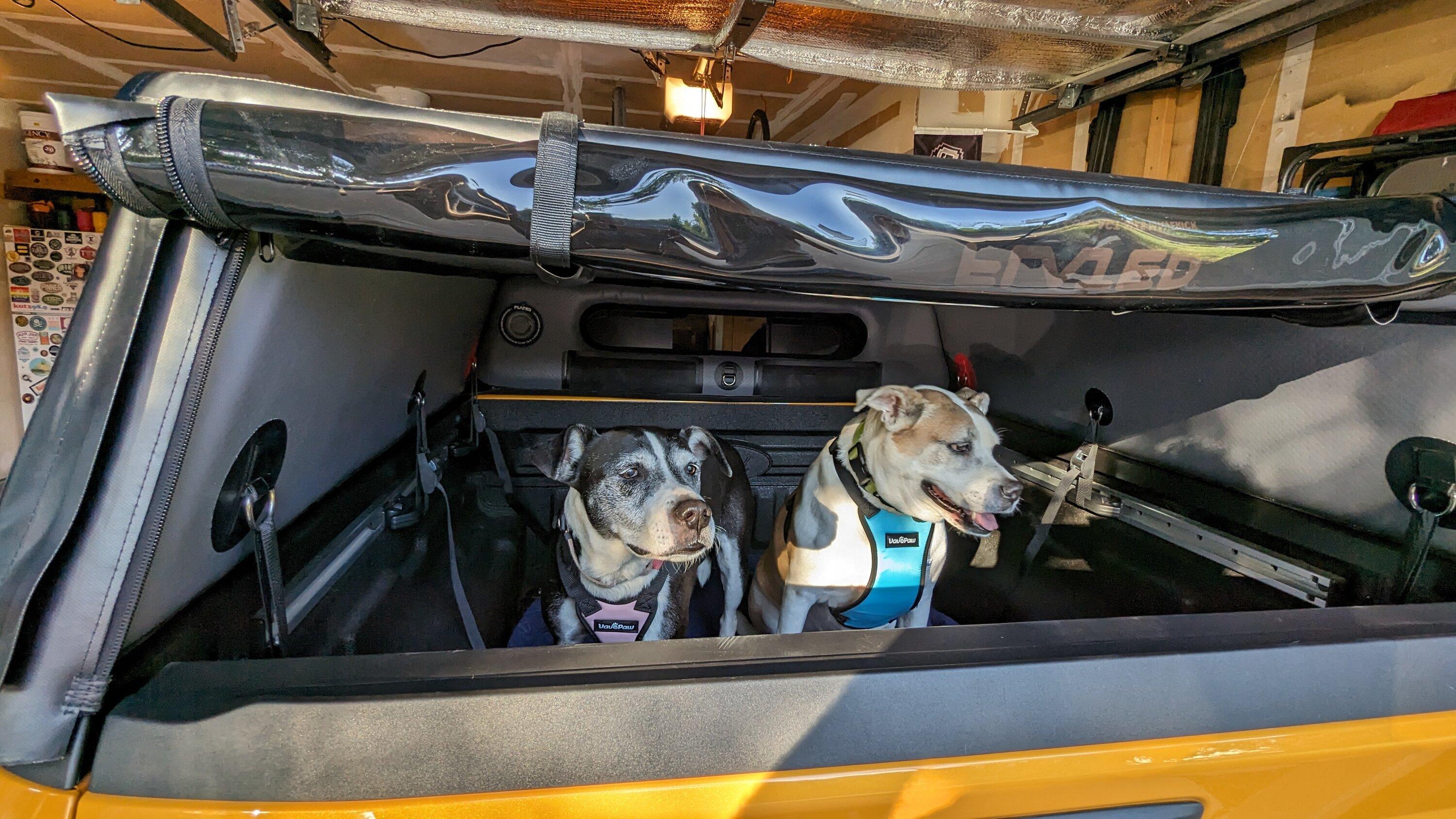 Ford Maverick Folding Softopper camper shell installed on my Maverick dogs in truck