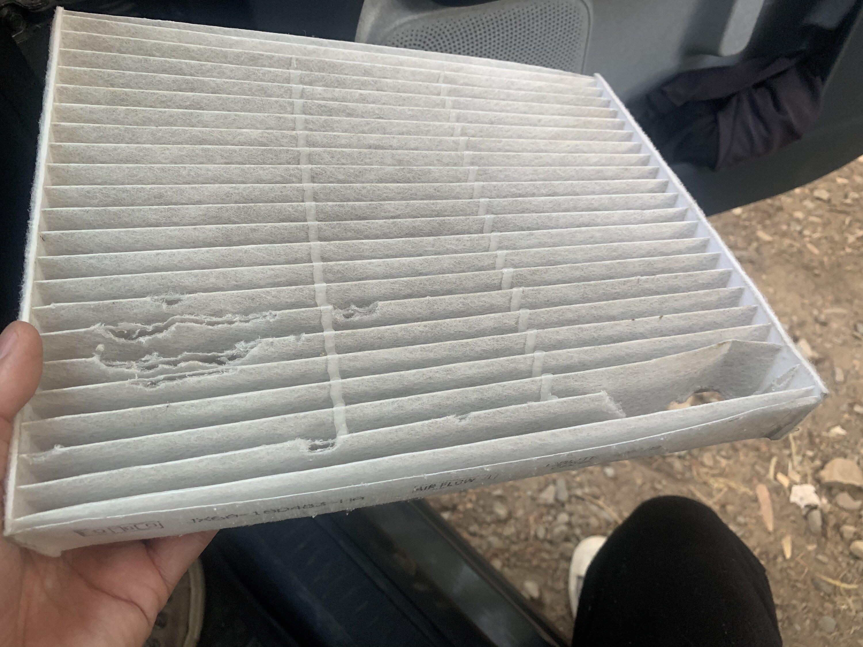 Ford Maverick Rodent in air fan C48F03E2-E265-4EAC-8485-BE1A81AC0929