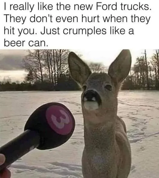 Ford Maverick A dear interview....oops A deer interview.. ford ruck & deer
