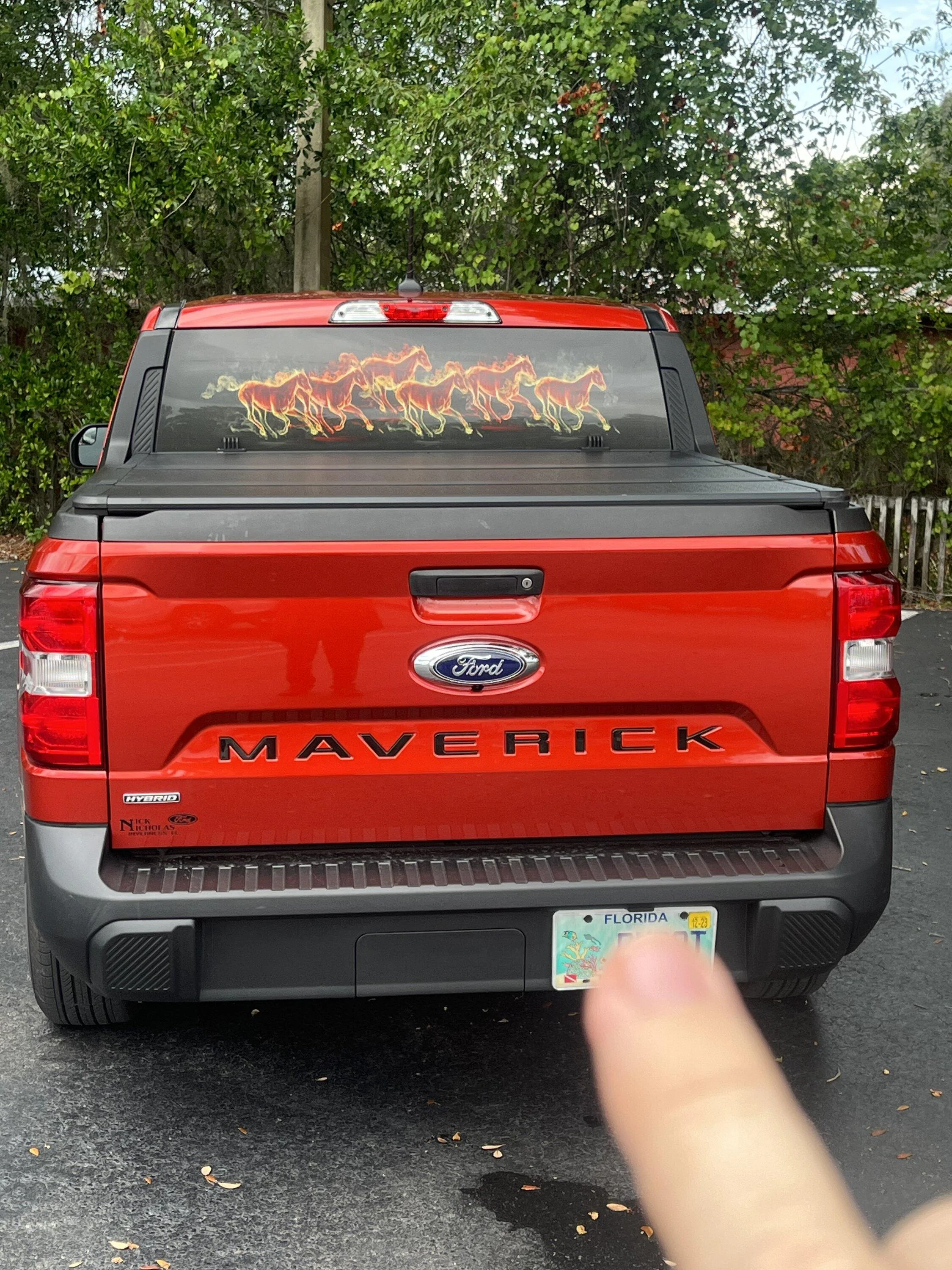 Ford Maverick 8 months later a star is born IMG_0459
