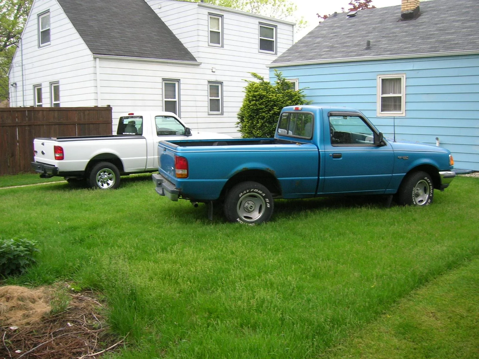 Pup Trucks 006.JPG