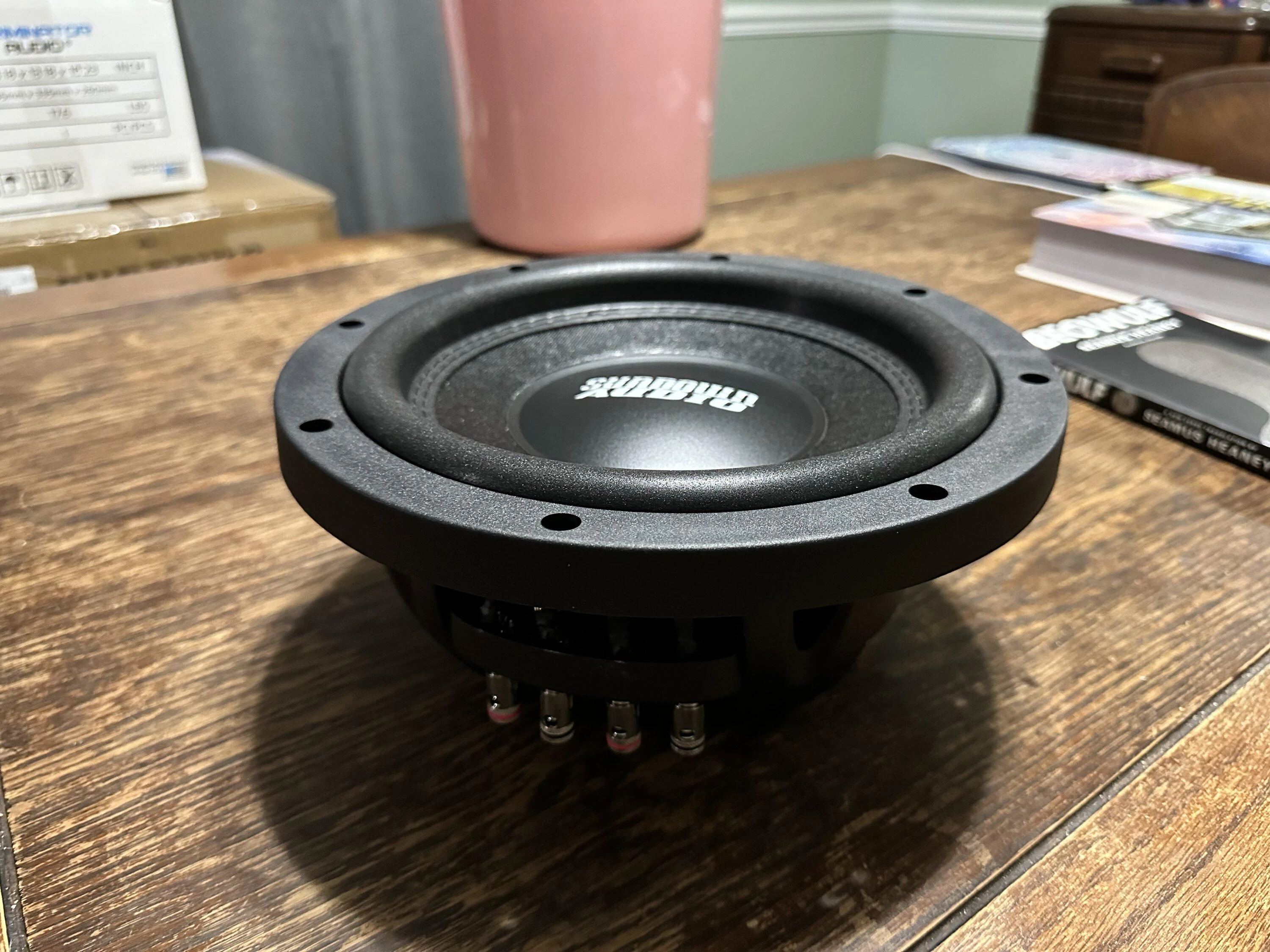 Ford Maverick FS Under rear seat dual 10 inch subwoofer box & subs IMG_0557