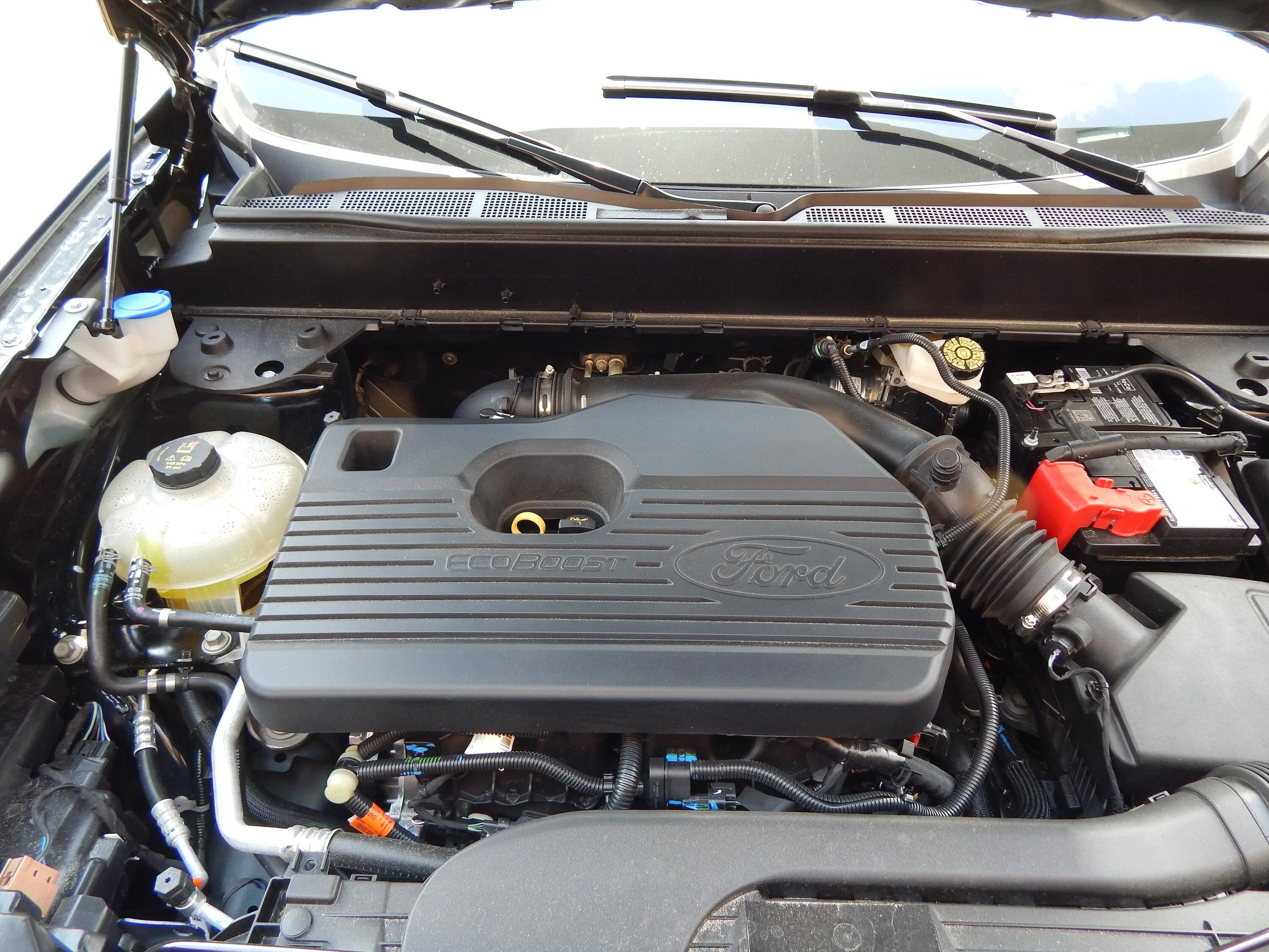 Ford Maverick Just got the Tremor Yesterday 7-5-23 1691498263369
