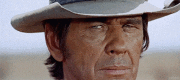Ford Maverick Weekend Rivian R1T gif-shaking-head-42