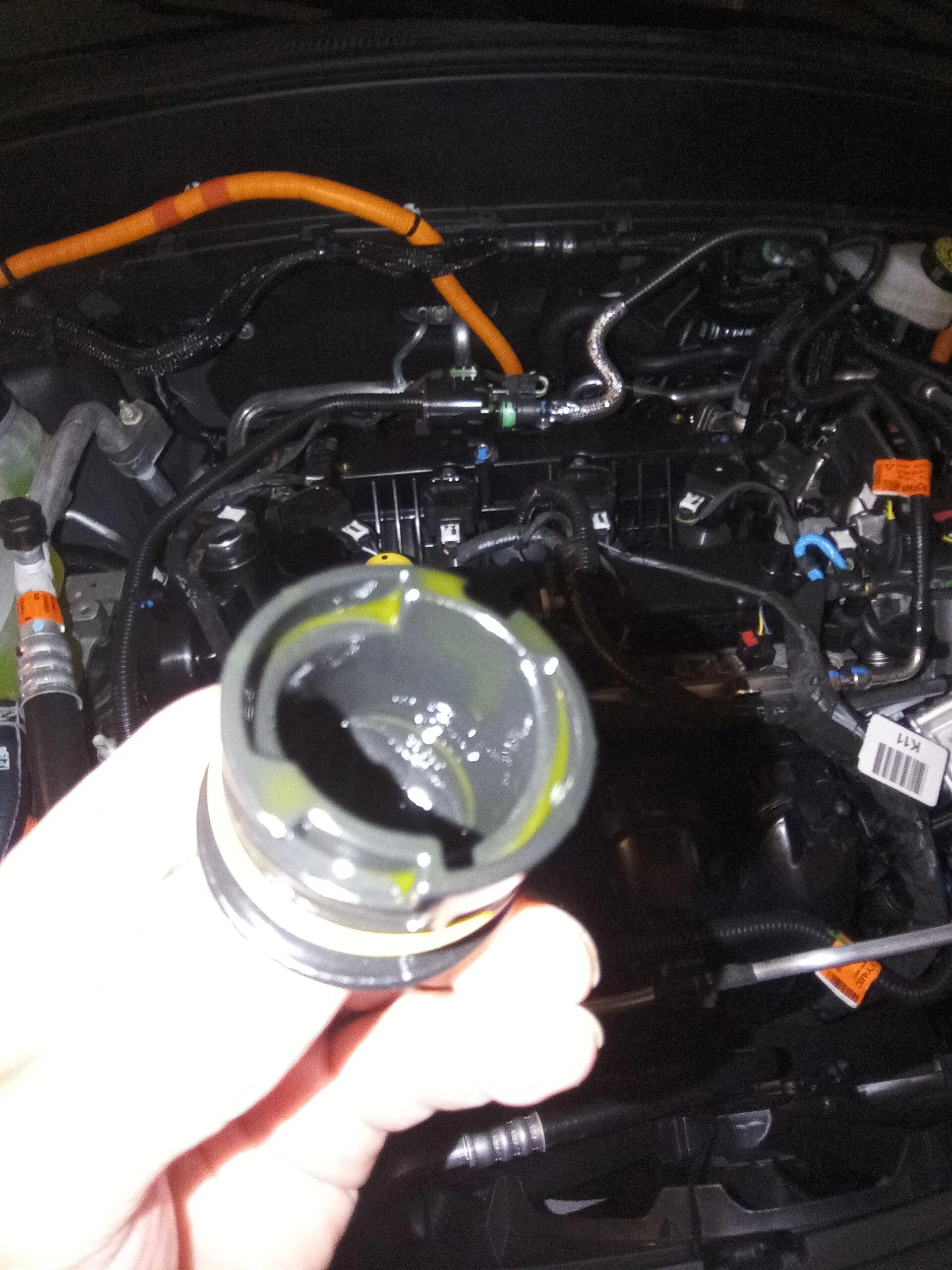 Ford Maverick Green color under oil cap (hybrid) 20230813_162104
