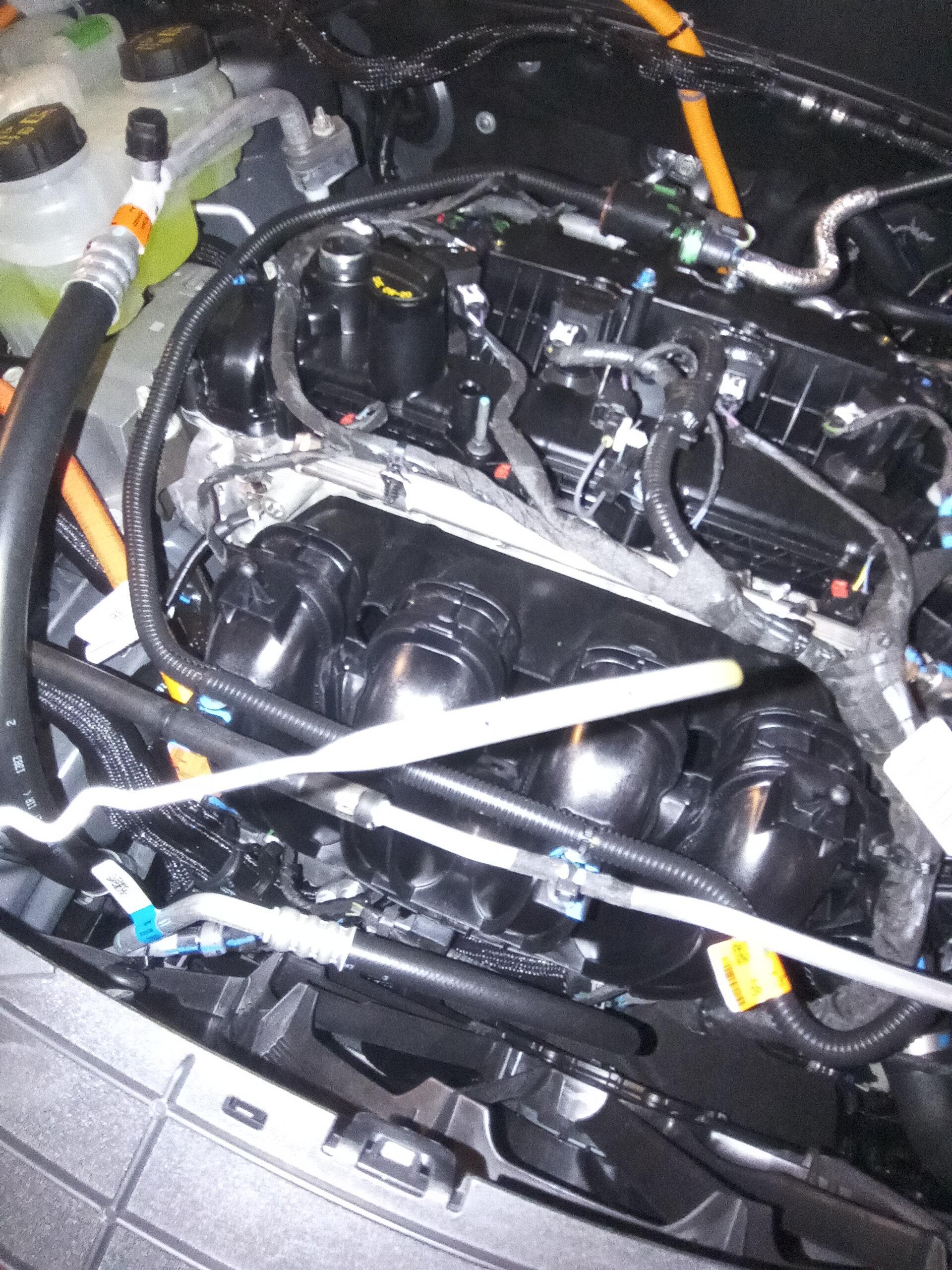 Ford Maverick Green color under oil cap (hybrid) 20230813_162258