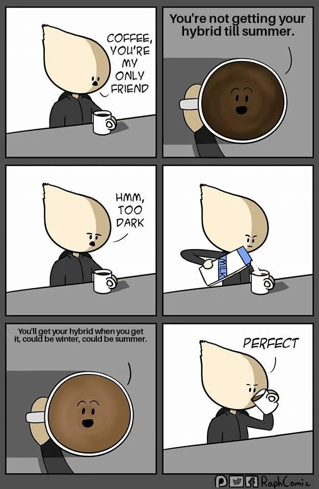 Ford Maverick Maverick Memes -  fun diversion while we wait [ ** NO POLITICS ** ] Coffee Youre My Only Friend 17102021124012