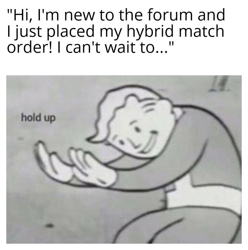 Ford Maverick Maverick Memes -  fun diversion while we wait [ ** NO POLITICS ** ] Vault Boy Hold Up 17102021124241
