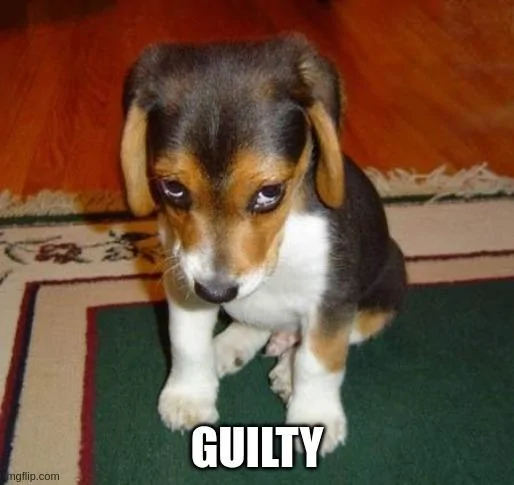 Ford Maverick Maverick Memes -  fun diversion while we wait [ ** NO POLITICS ** ] 5qt36i