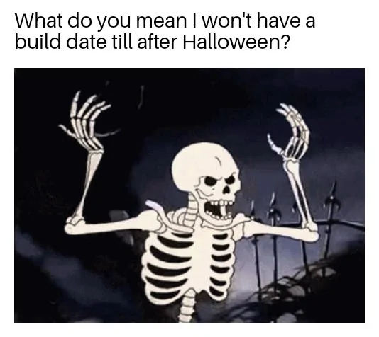 Ford Maverick Maverick Memes -  fun diversion while we wait [ ** NO POLITICS ** ] Spooky Skeleton 2 18102021184823