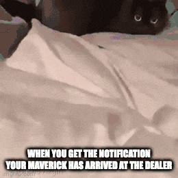 Ford Maverick Maverick Memes -  fun diversion while we wait [ ** NO POLITICS ** ] 7xgne9