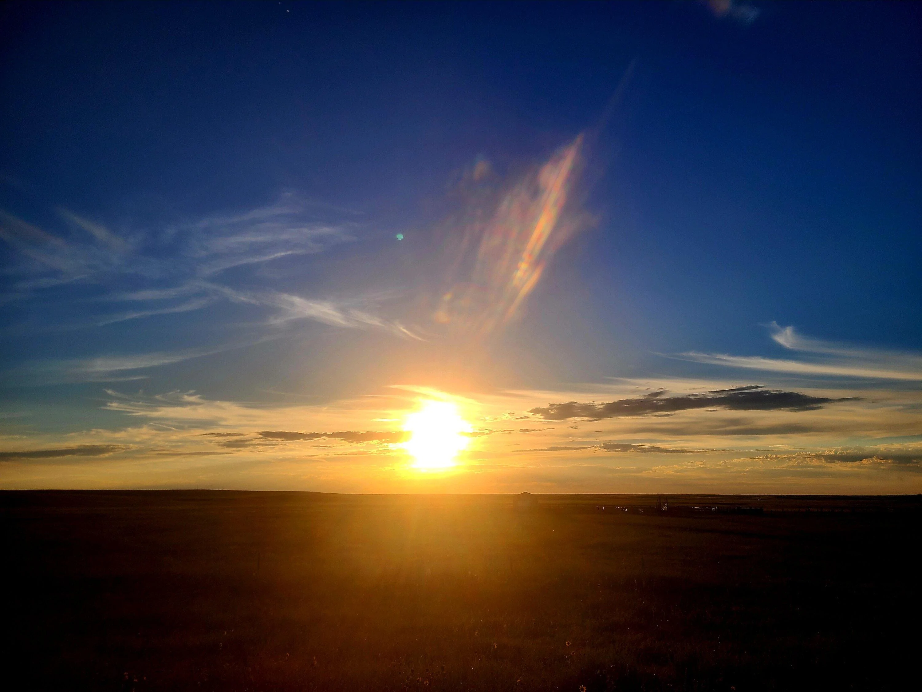 20230902_065122.jpg