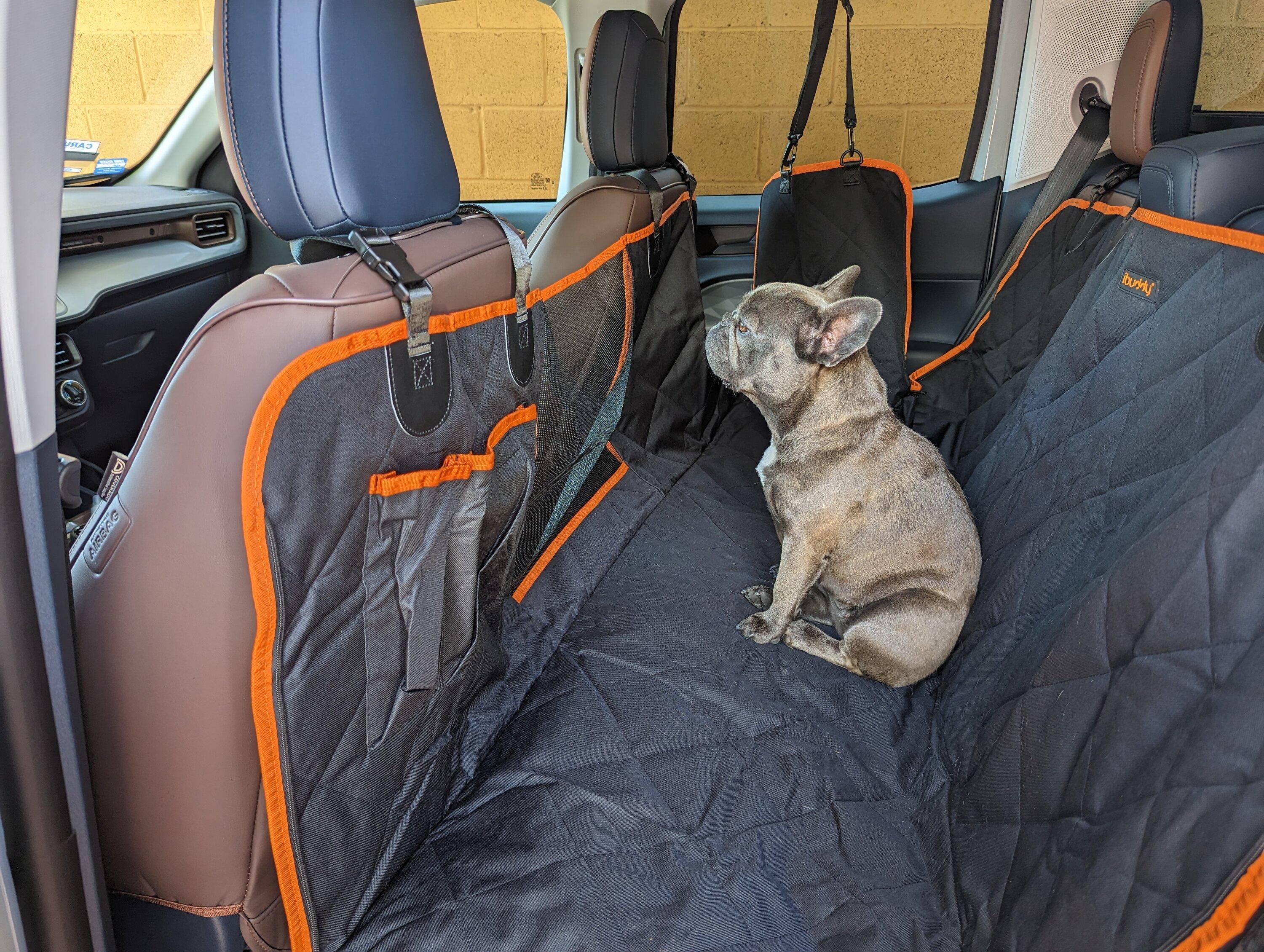 Ford Maverick Pet Protection for backseat and doors - my recommendations PXL_20230423_181051128