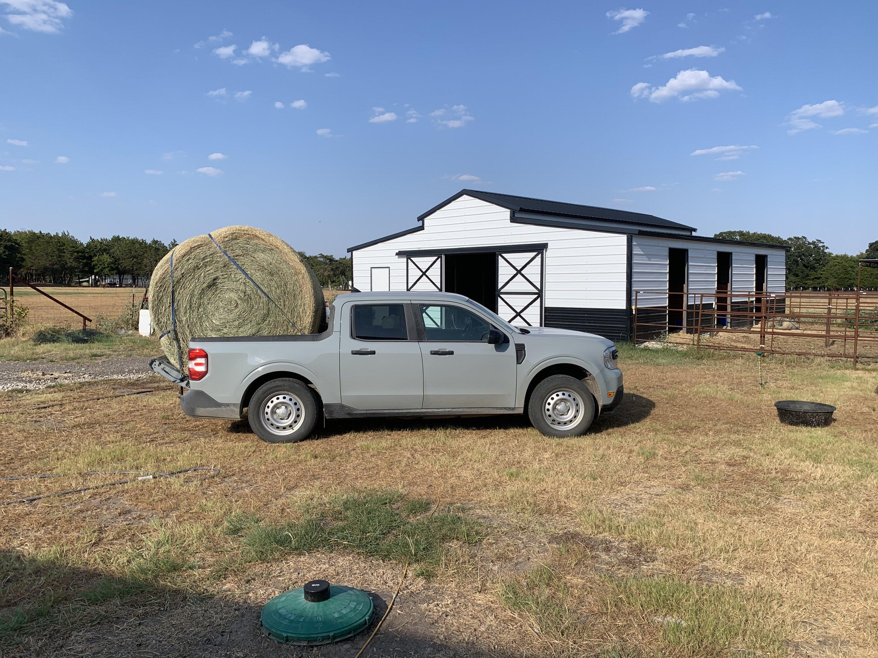 Ford Maverick Maverick hauling round hay bales IMG_8705