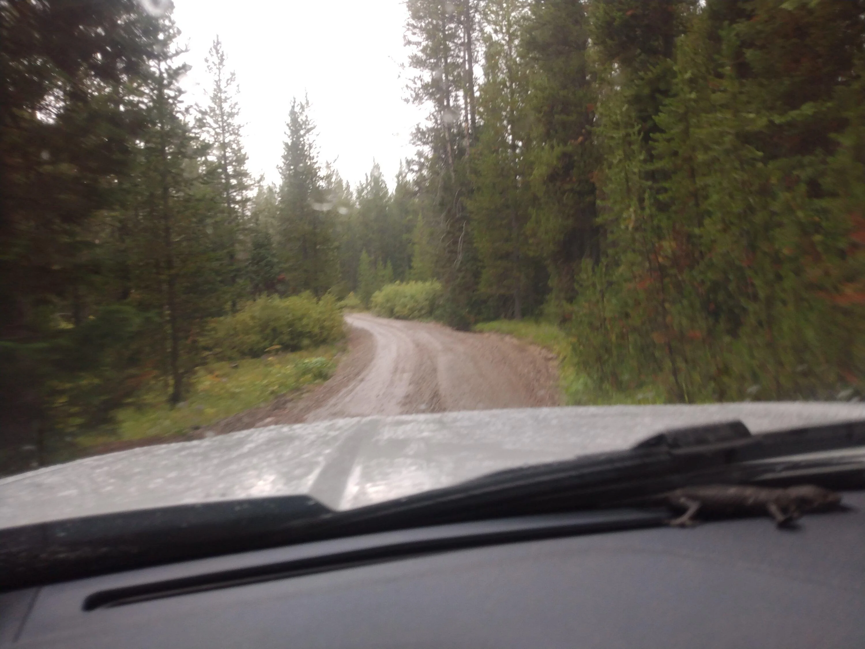 Ford Maverick Just completed awesome 3000 mile trip in my 2023 Tremor IMG_20230903_092905472