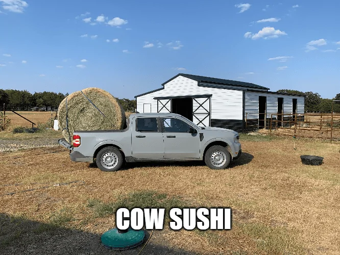 Ford Maverick Maverick Memes -  fun diversion while we wait [ ** NO POLITICS ** ] download - 2023-09-17T072650.592